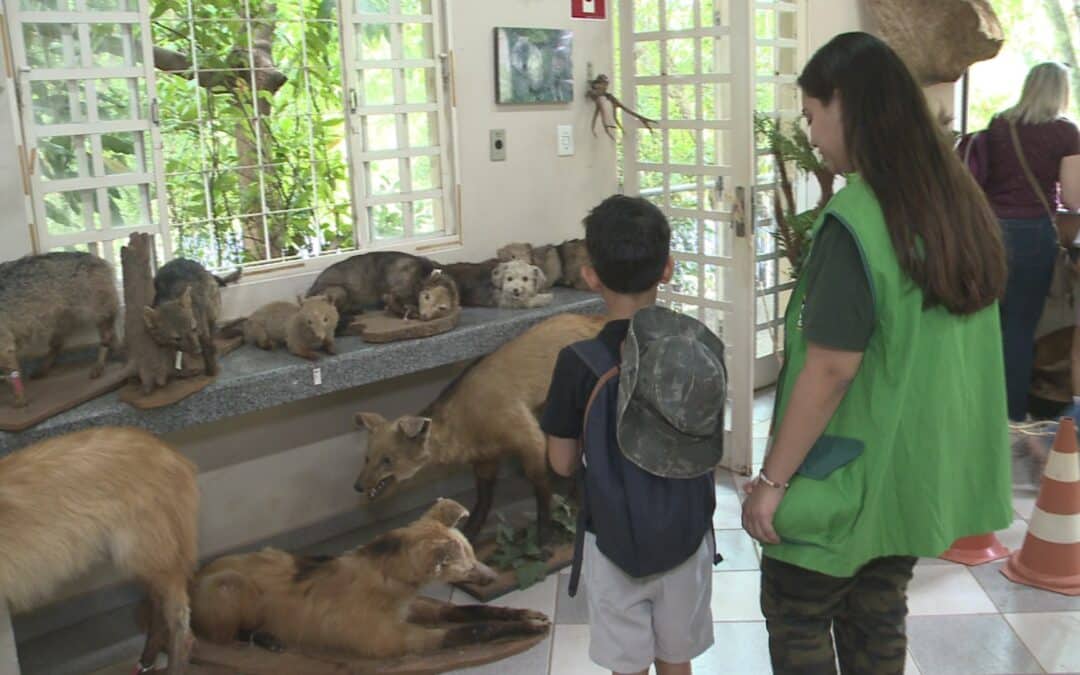Zoológico de Sorocaba oferece programação especial de férias para as crianças
