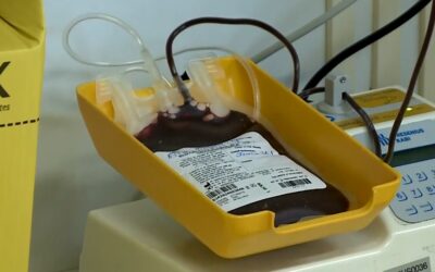 Banco de Sangue de Sorocaba registra queda de estoque