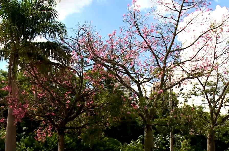 Outono deve ser marcado por temperaturas acima da média e chuvas