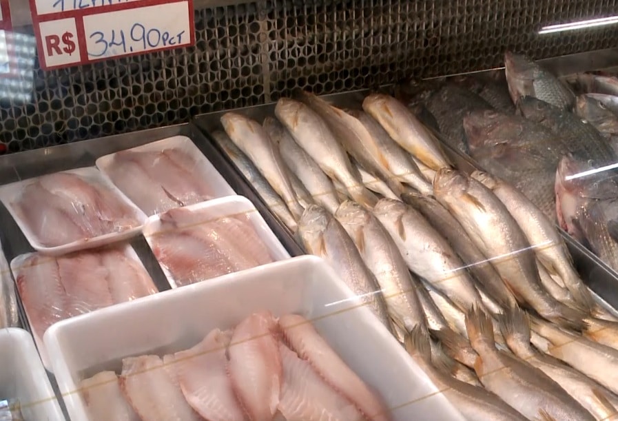 Peixes expostos em um balcão frigorífico.