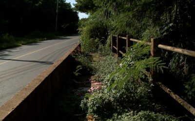 Moradores reclamam de situação de abandono em estrada que liga Sorocaba a Iperó