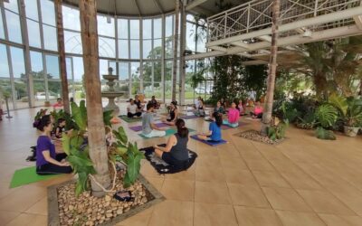 Aula gratuita de Yoga no Jardim Botânico de Sorocaba