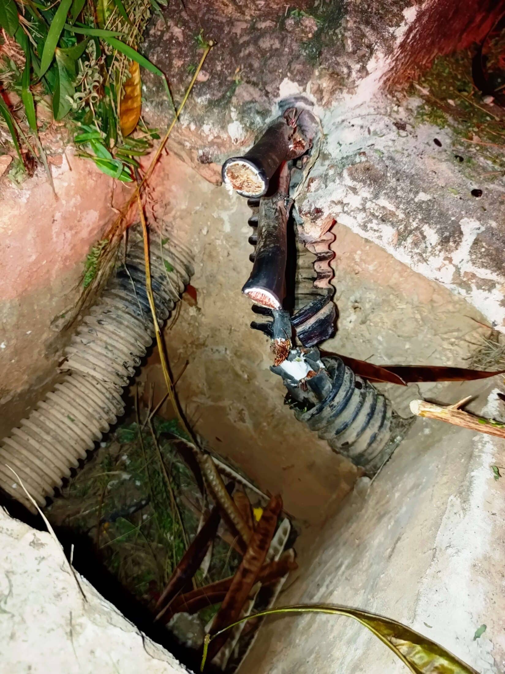 Casal é detido pela GCM após tentativa de furto de fiação elétrica na Praça Lions, em Sorocaba