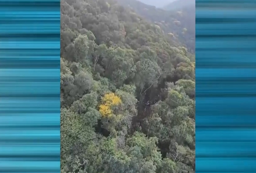 Imagem aérea de local onde o avião caiu.