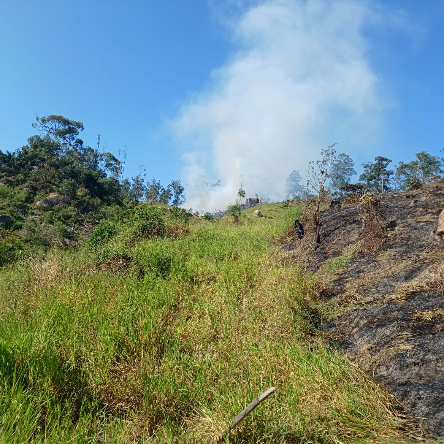 Incêndio na Serra da Baleia em Jundiaí é controlado, mas sol forte exige atenção