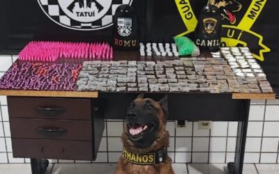 Mais de mil porções de drogas apreendidas pela GCM em Tatuí