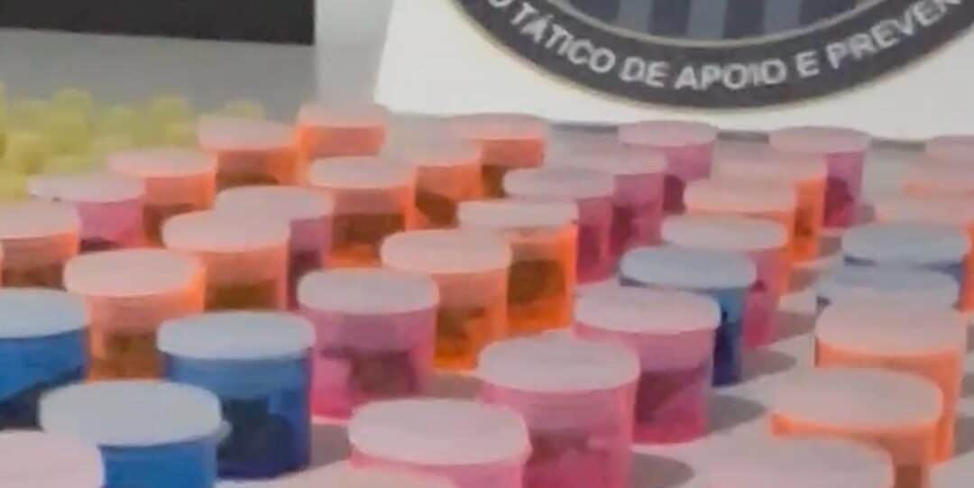 Quatro suspeitos de tráfico de drogas são presos em Itu durante operação da Polícia Civil