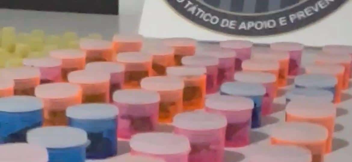 Quatro suspeitos de tráfico de drogas são presos em Itu durante operação da Polícia Civil