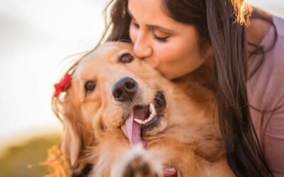 Sorocabanos arrecadam 2 toneladas de ração para pets do Rio Grande do Sul