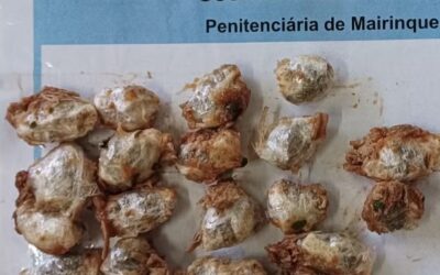 Mulher tenta entrar em presídio de Mairinque com maconha escondida em carne e acaba presa