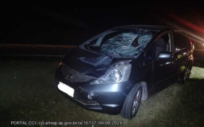 Pedestre morre atropelado na Rodovia Castello Branco em Boituva