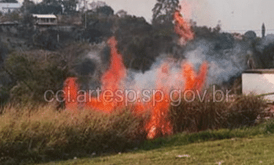 Governo de SP cria gabinete de crise para combate a incêndios