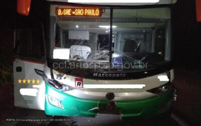 Ônibus atropela vacas na Rodovia Castello Branco, em Cesário Lange
