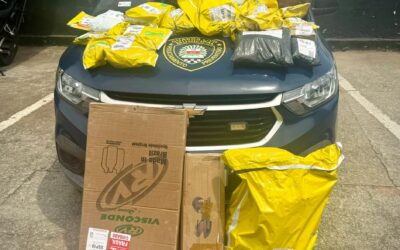GCM de Campo Limpo Paulista recupera mercadorias roubadas