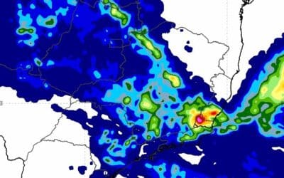Temporal provoca quedas de árvores e destelhamentos na região