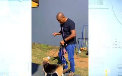 Especialista dá dicas de adestramento e para cuidar dos pets em dias chuvosos