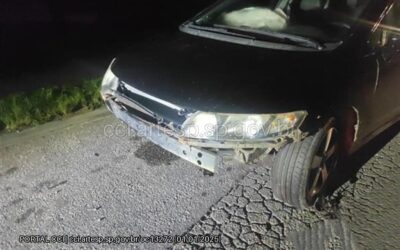 Acidente com cavalo na Raposo deixa vítima em estado grave