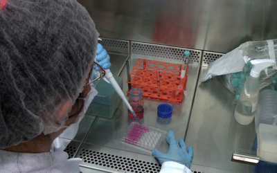 Pesquisa desenvolve protetor dermatológico para pacientes com câncer de mama