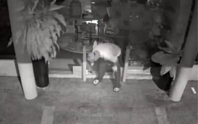 Homem é preso em flagrante após roubo em loja no centro de Cerquilho