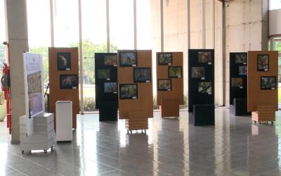 Biblioteca de Sorocaba recebe exposição de fotos “Aves em Liberdade… Sempre!”