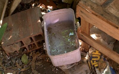 Sorocaba realiza Dia D contra a dengue com ações de conscientização