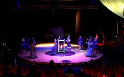 Dia Nacional do Circo: amor e dedicação à arte de divertir