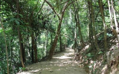 Parque do Matão, em Votorantim, fecha para manutenção neste sábado