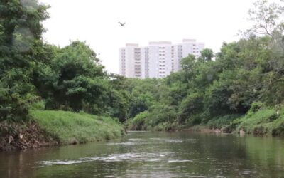 Deques são instalados para pescadores às margens do Rio Sorocaba