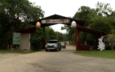 Fazenda em São Roque oferece programação especial de Páscoa