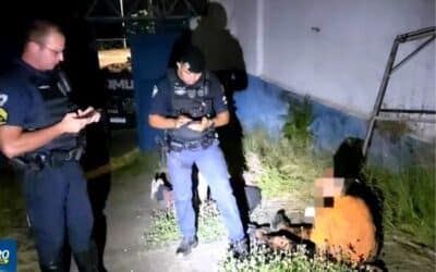 Três detidos por furto em empresa de Sorocaba