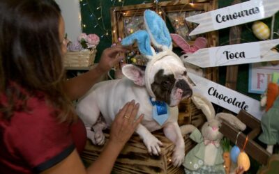 Empresas criam experiências especiais para pets na Páscoa