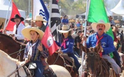 Sorocaba realiza Desfile dos Tropeiros e Cavalgada Solidária no dia 1º de junho