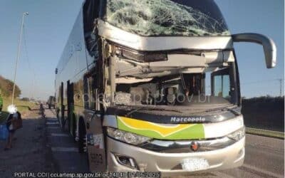 Ônibus bate em carreta na Castello Branco e deixa dois feridos leves em Porto Feliz