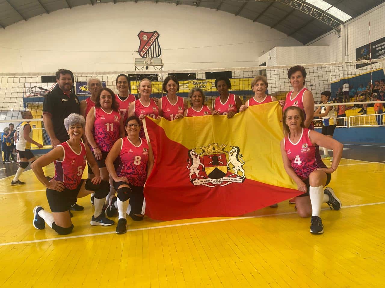 Jogos melhor idade