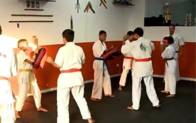 Jovens de Iperó participam de campeonato continental de karatê por meio de projeto social