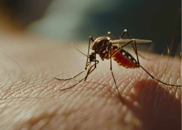 Primeiro caso de Chikungunya é confirmado em Sorocaba neste ano