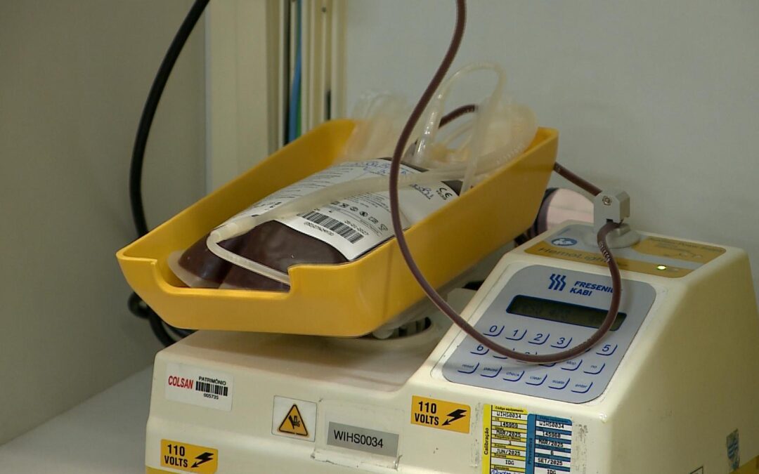 Vacinação recente pode impedir doação de sangue