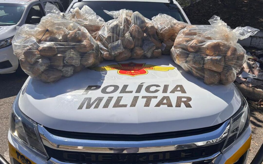 Polícia prende homem com mais de 40 quilos de skunk em Boituva