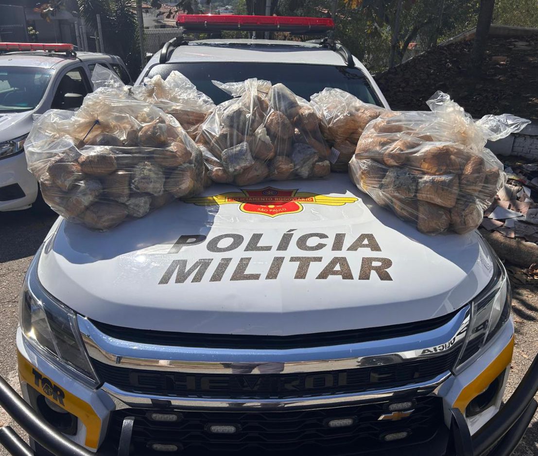 Pol&iacute;cia apreende 40 quilos de skunk