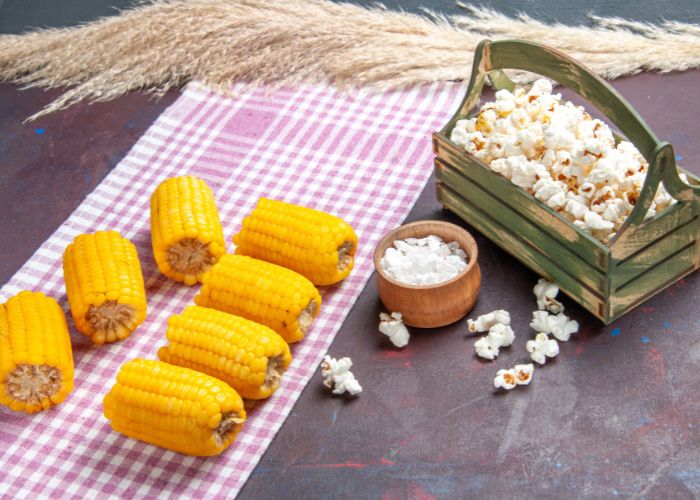 Milho e pipoca