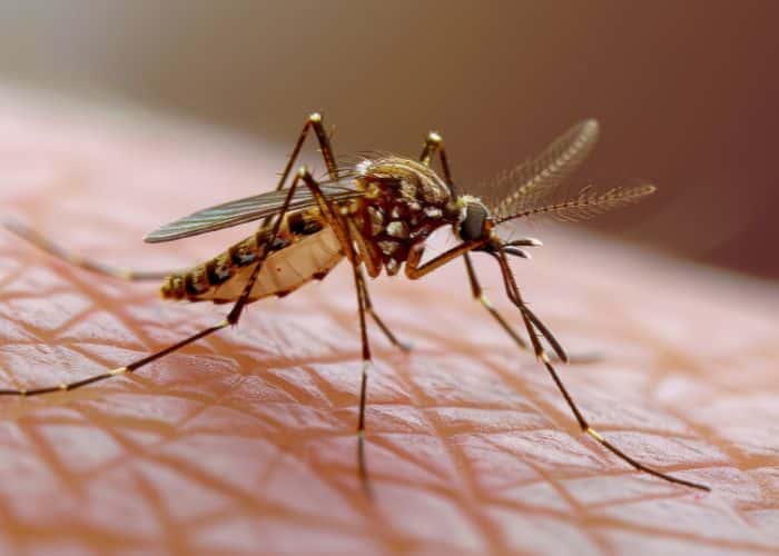 Morte por dengue é confirmada em Sorocaba, nesta segunda (16)