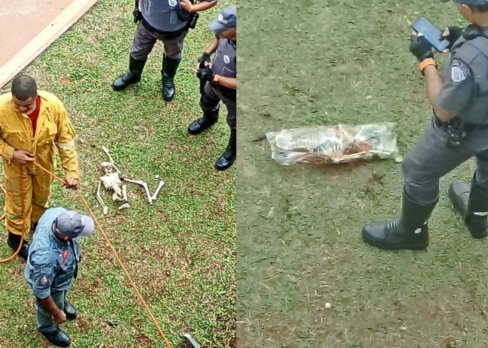 Morador encontra esqueleto embaixo de viaduto em Itapetininga e objeto era brinquedo