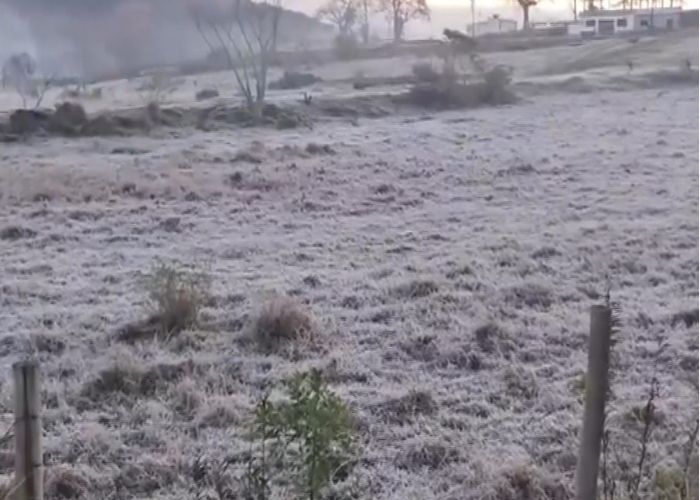 Imagem de campo coberto pela neve.