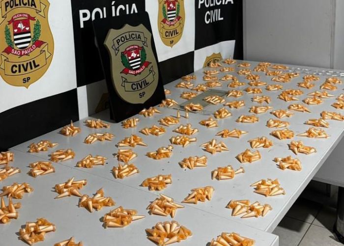 Por&ccedil;&otilde;es de coca&iacute;na apreendidas