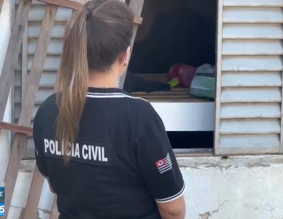 Agente da Pol&iacute;cia Civil.