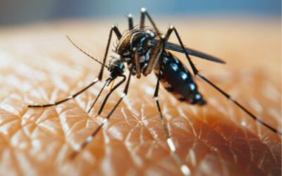 Itu confirma 112 casos de dengue e bairro Potiguara concentra mais da metade dos registros