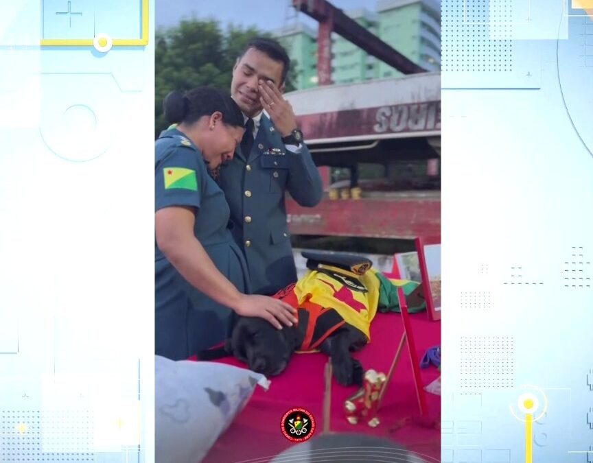 Adeus à Cerys: pioneira, guerreira e símbolo de amor incondicional