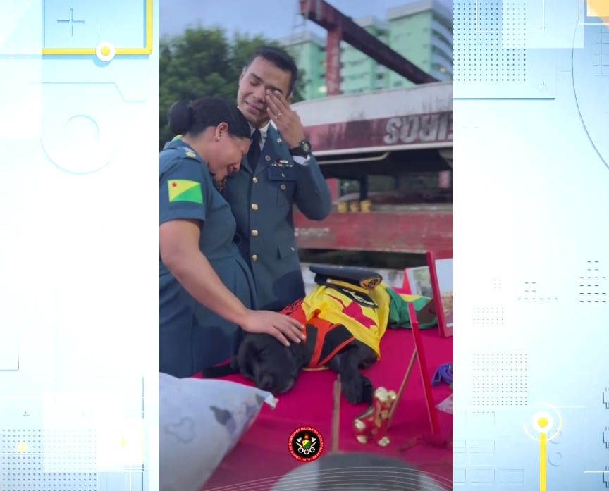 Imagem de oficiais ao lado da cadela Cerys.