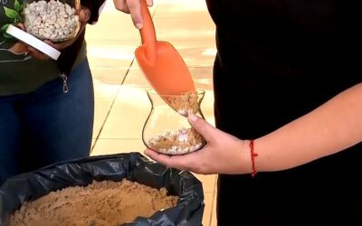 Oficina gratuita ensina moradores de Sorocaba a montar terrários no Jardim Botânico
