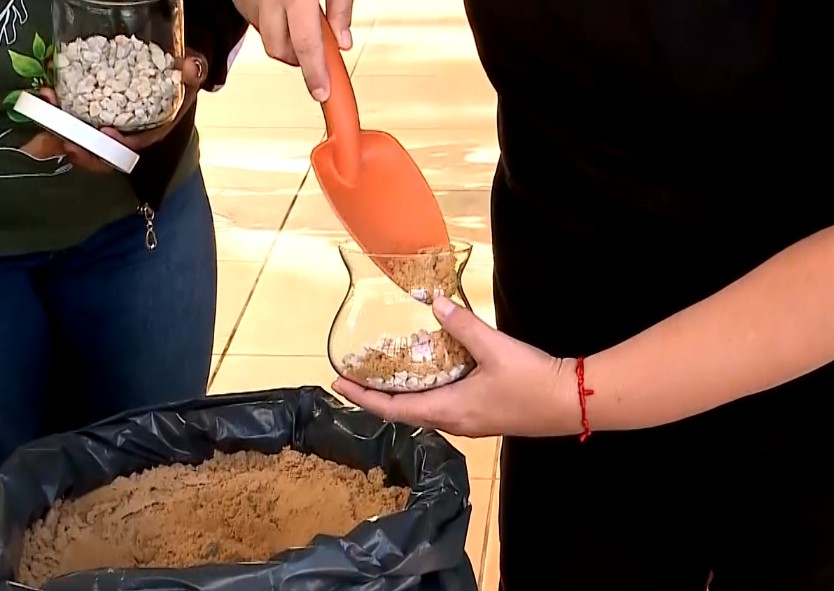 Oficina gratuita ensina moradores de Sorocaba a montar terrários no Jardim Botânico